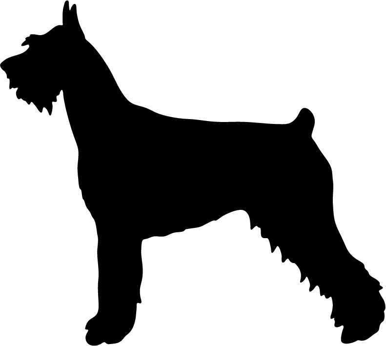 clip art schnauzer dog - photo #49